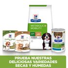 Hill's Prescription Diet J/D Metabolic + Mobility Frango ração para cães, , large image number null